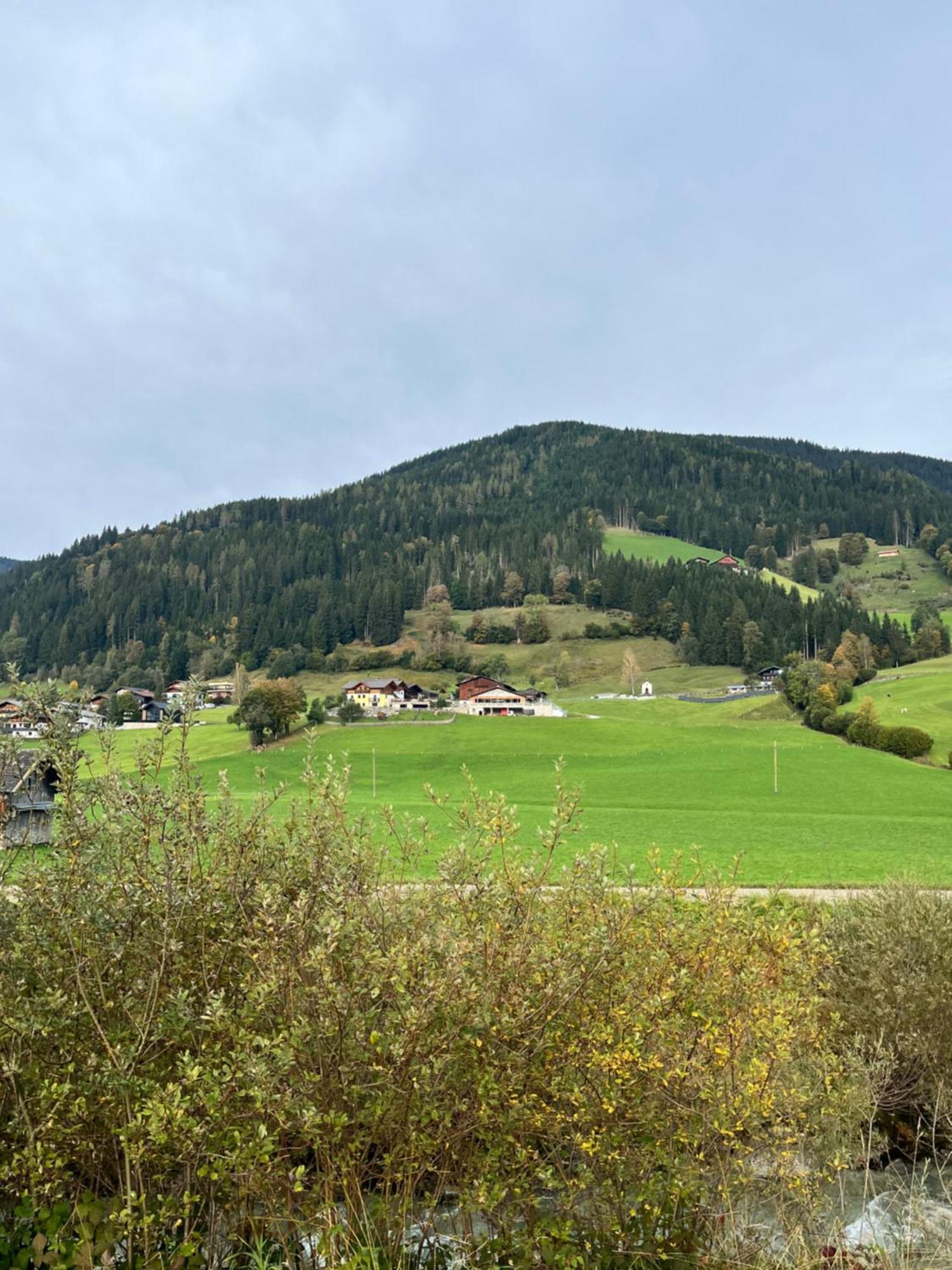 Bauernhof Unterbichl Bauernhof Flachau