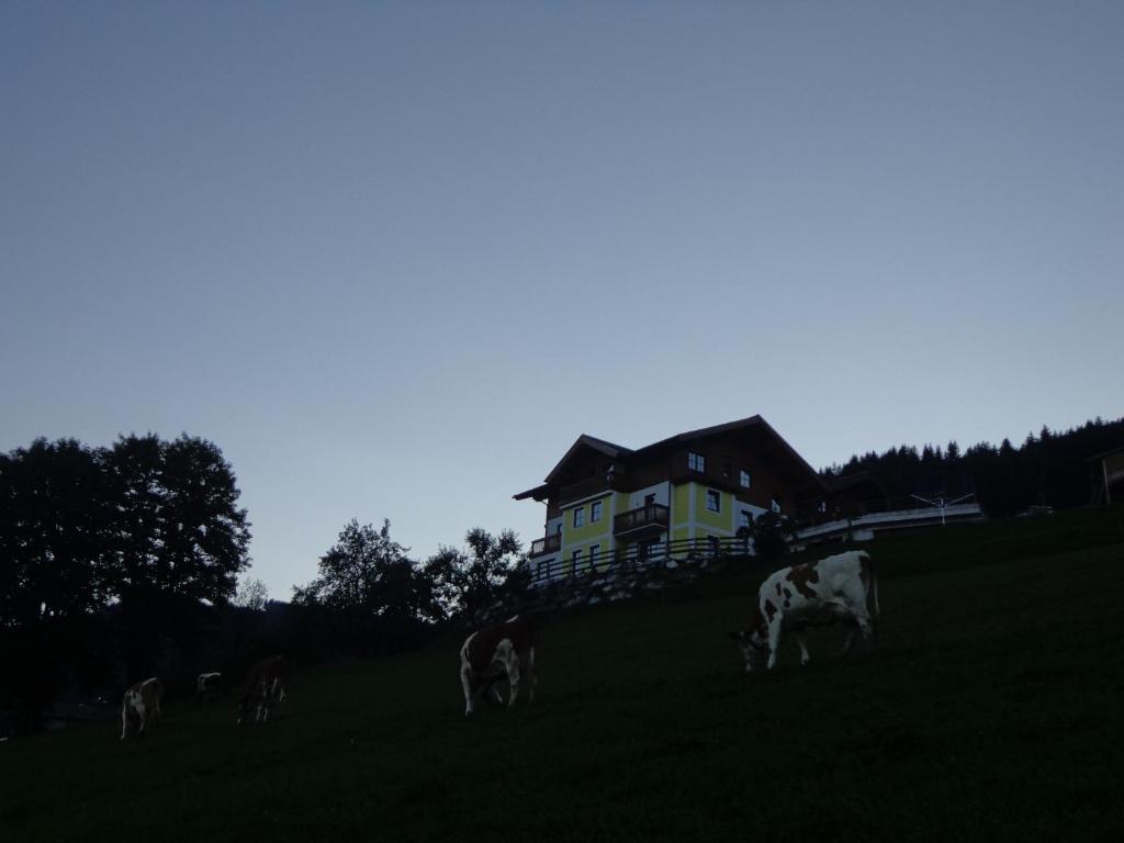 Bauernhof Unterbichl Bauernhof