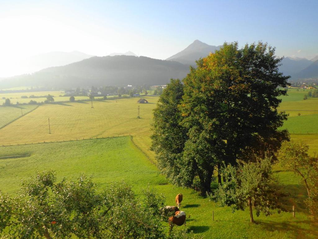 Bauernhof Bauernhof Unterbichl