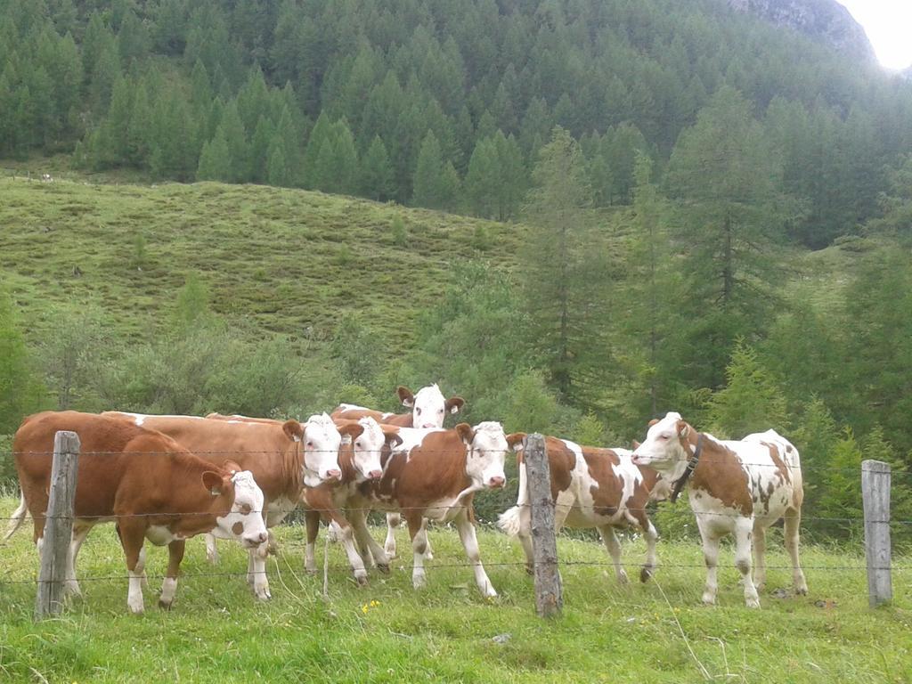 Bauernhof Bauernhof Unterbichl *