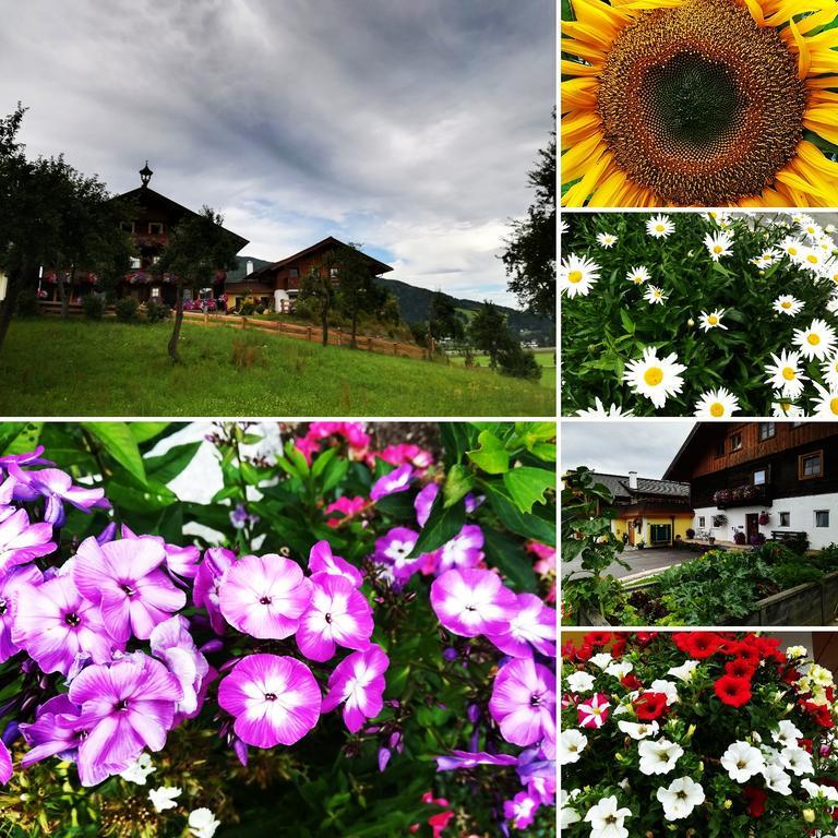 Bauernhof Bauernhof Unterbichl *