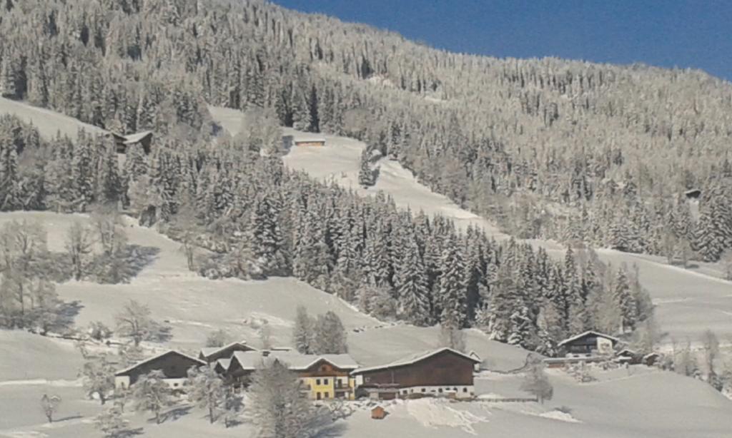 Bauernhof Bauernhof Unterbichl
