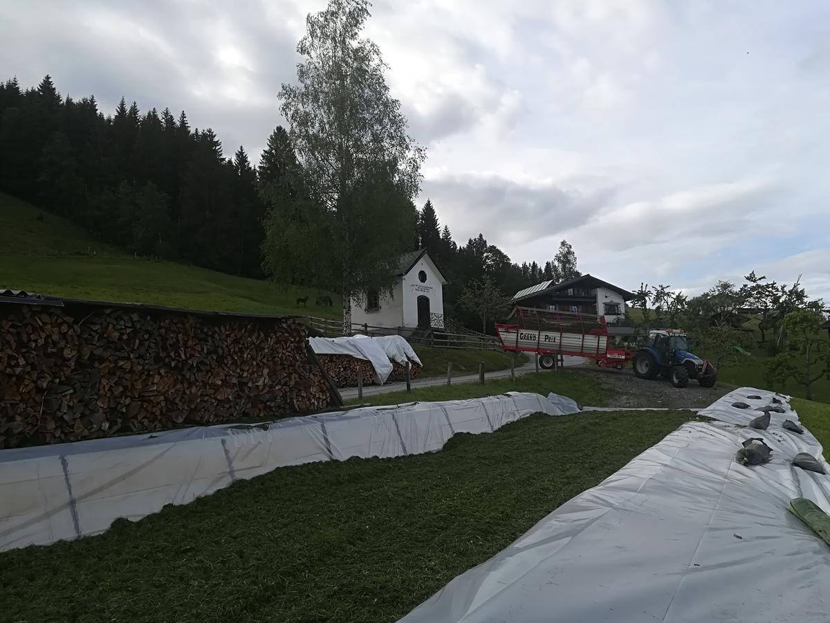 Bauernhof Unterbichl Bauernhof Flachau