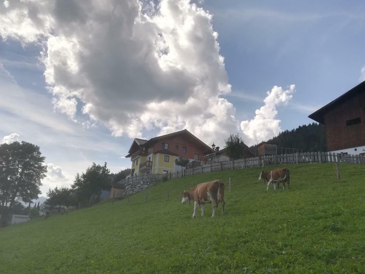 Bauernhof Unterbichl * Flachau