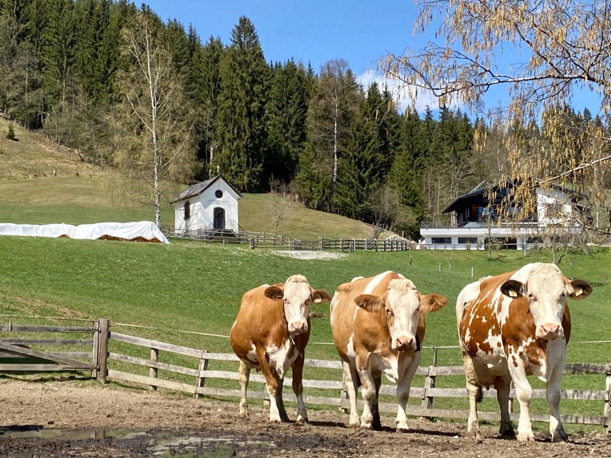 Bauernhof Unterbichl Bauernhof