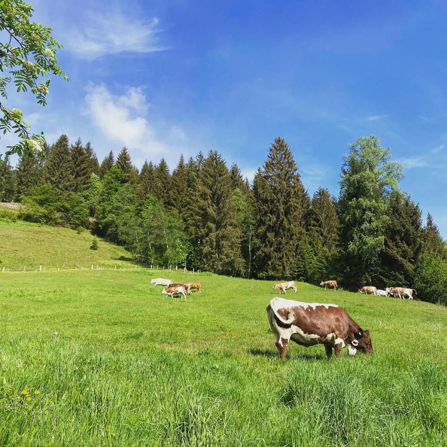 Bauernhof Unterbichl Bauernhof Flachau